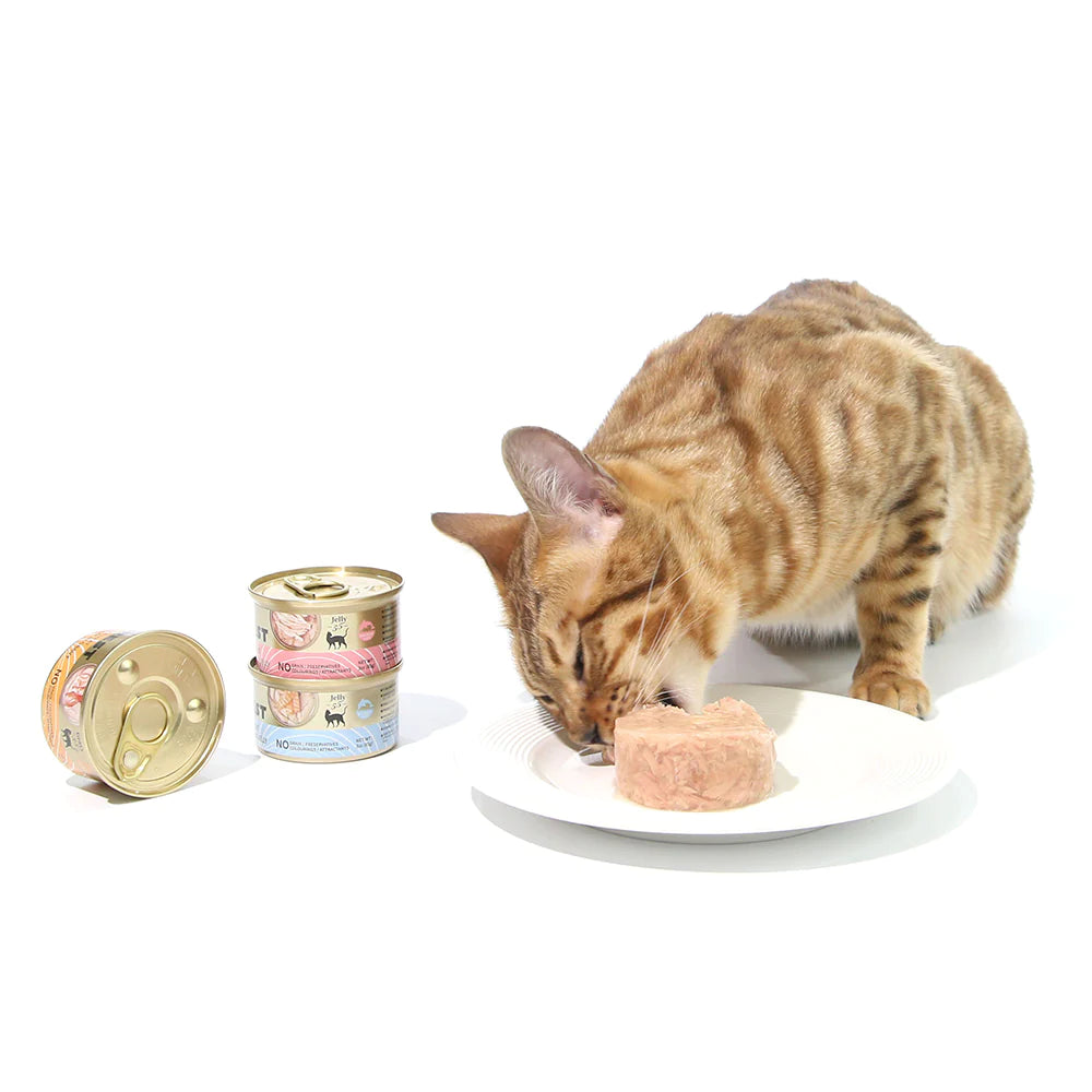 CAT FOREST Premium Tuna White Meat with Salmon in Jelly Canned Cat Food 24x85g