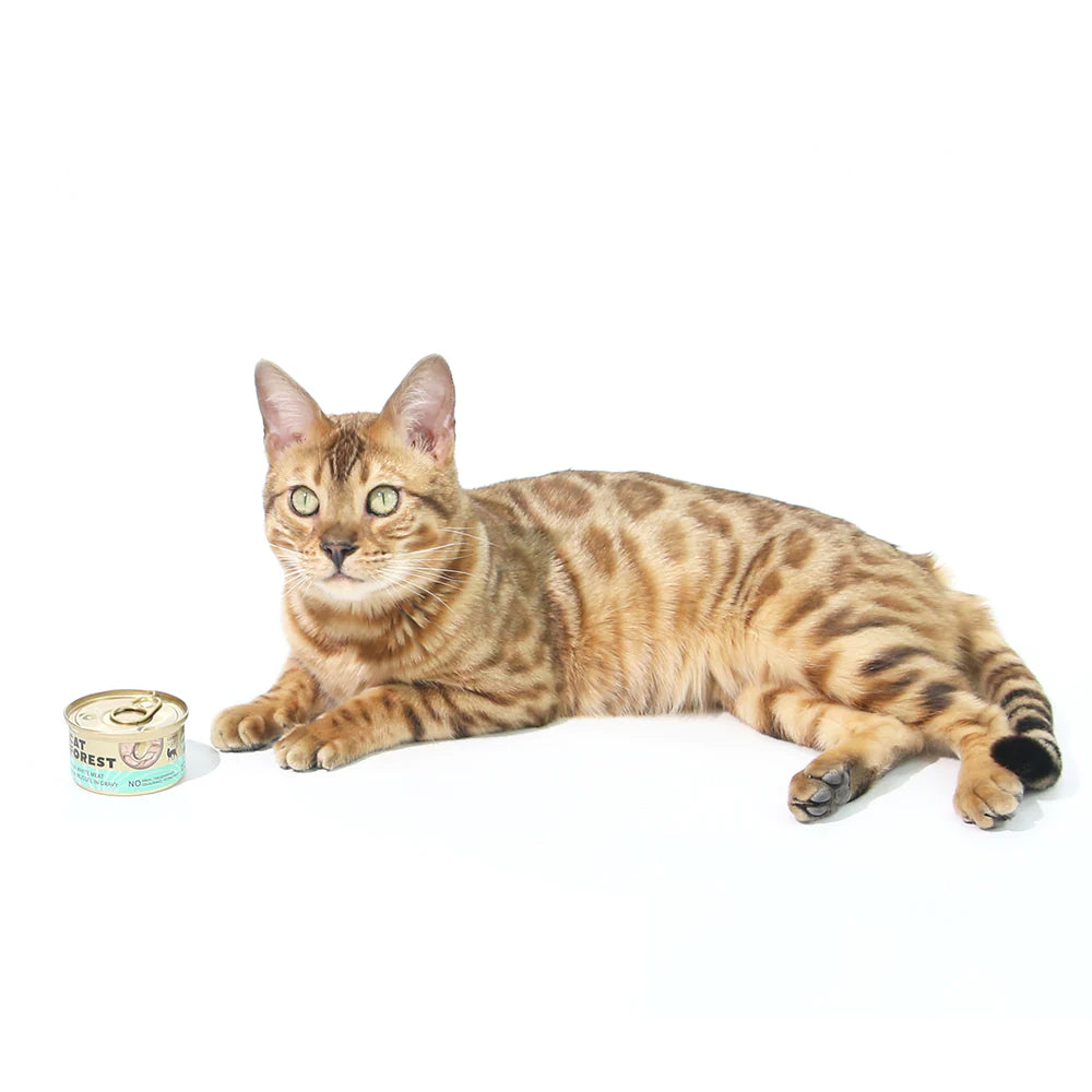 CAT FOREST Premium Tuna White Meat with Salmon in Jelly Canned Cat Food 24x85g