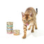 CAT FOREST Premium Tuna White Meat with Chicken in Jelly Canned Cat Food 24x85g