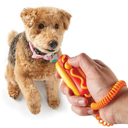 Brightkins Smarty Pooch Hot Dog Training Clicker