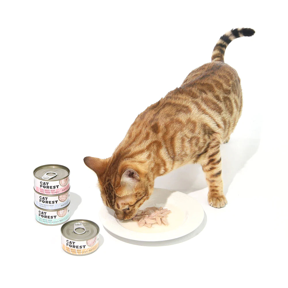 CAT FOREST Classic Tuna White Meat with Whitebait in Gravy Canned Cat Food 24x85g