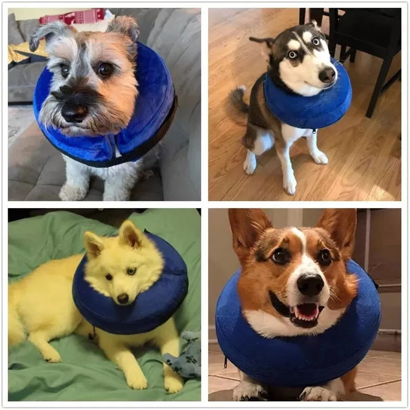 Pet Dog Inflatable Soft Healing Collar Cone Wound Medical Cat Protective Jackets