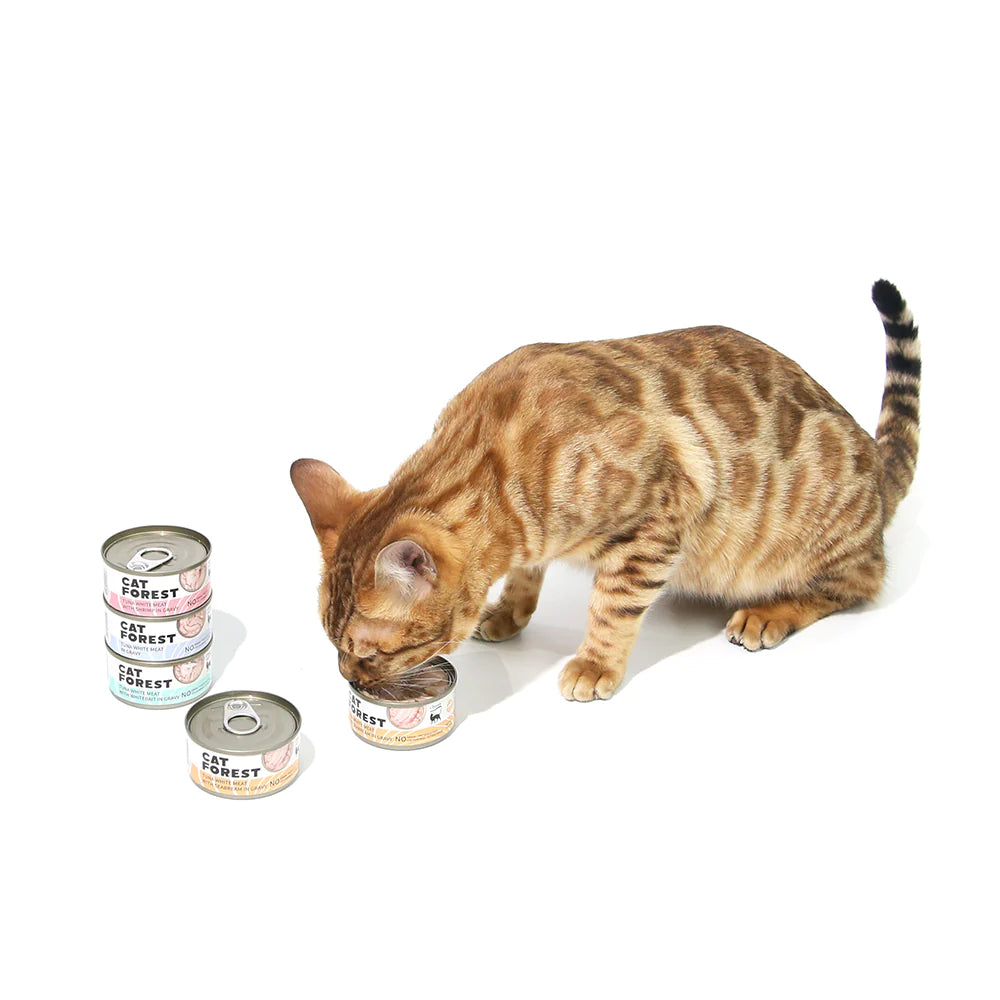 CAT FOREST Classic Tuna White Meat in Gravy Canned Cat Food 24x85g