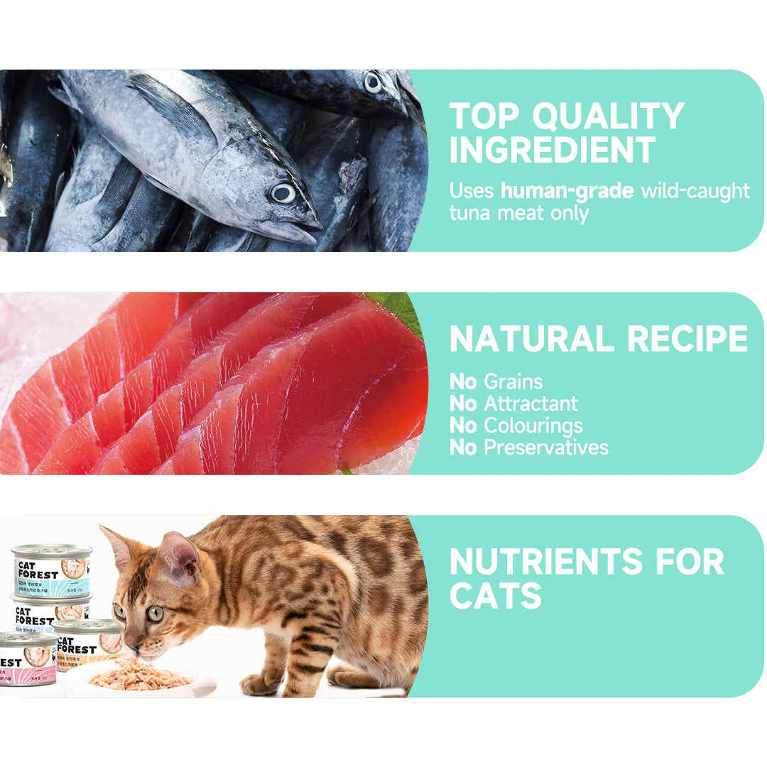 CAT FOREST Premium Tuna White Meat with Chicken in Jelly Canned Cat Food 24x85g