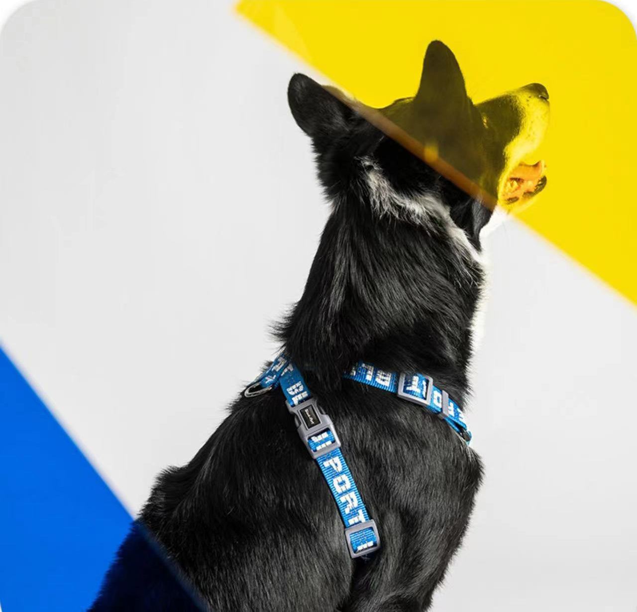 Blueport Nylon Pet Dog Harness No Pull Adjustable Dog Vest Classic Reflective