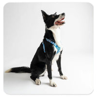 Blueport Nylon Pet Dog Harness No Pull Adjustable Dog Vest Classic Reflective