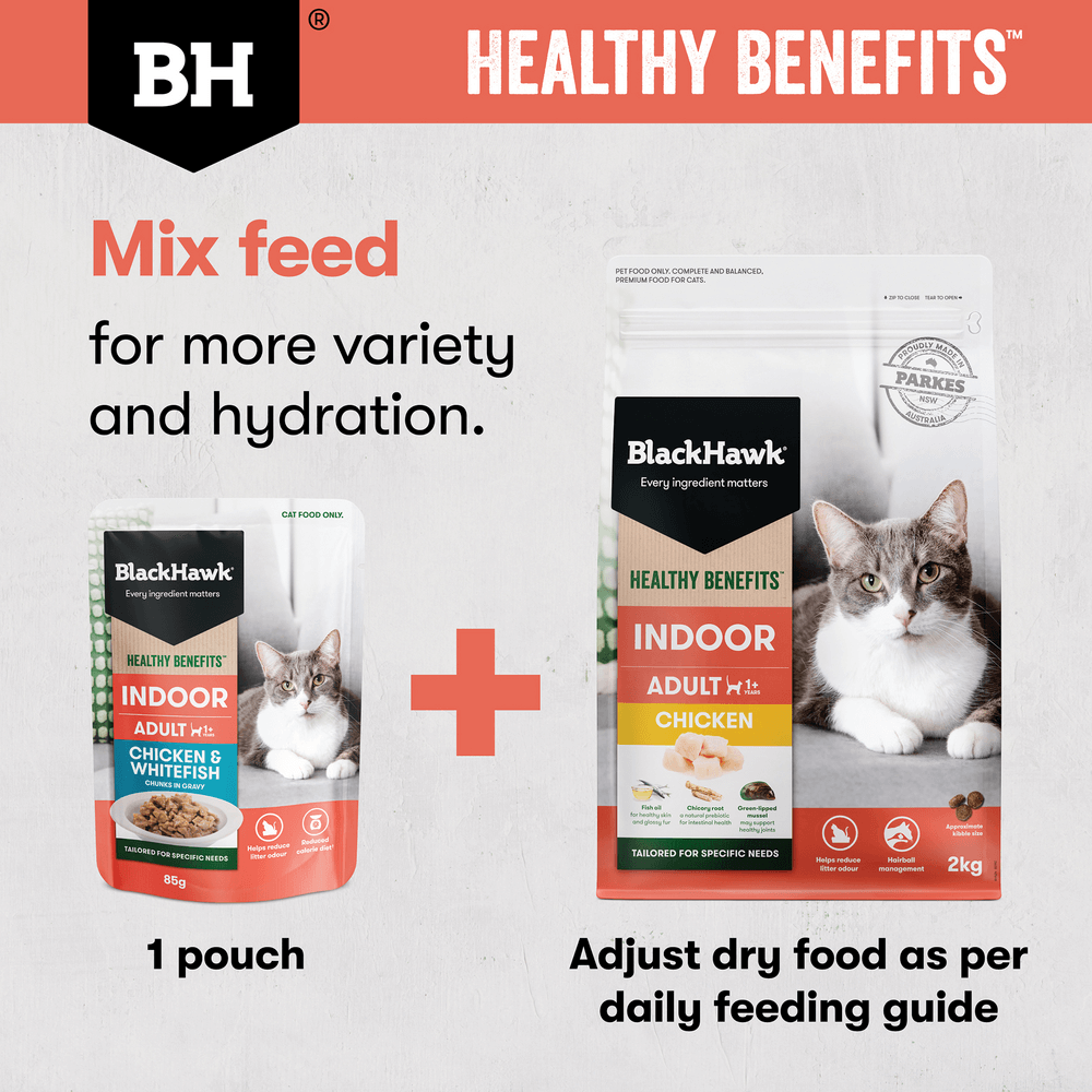 Black Hawk Healthy Benefits Dry Cat Food Adult Indoor Chicken