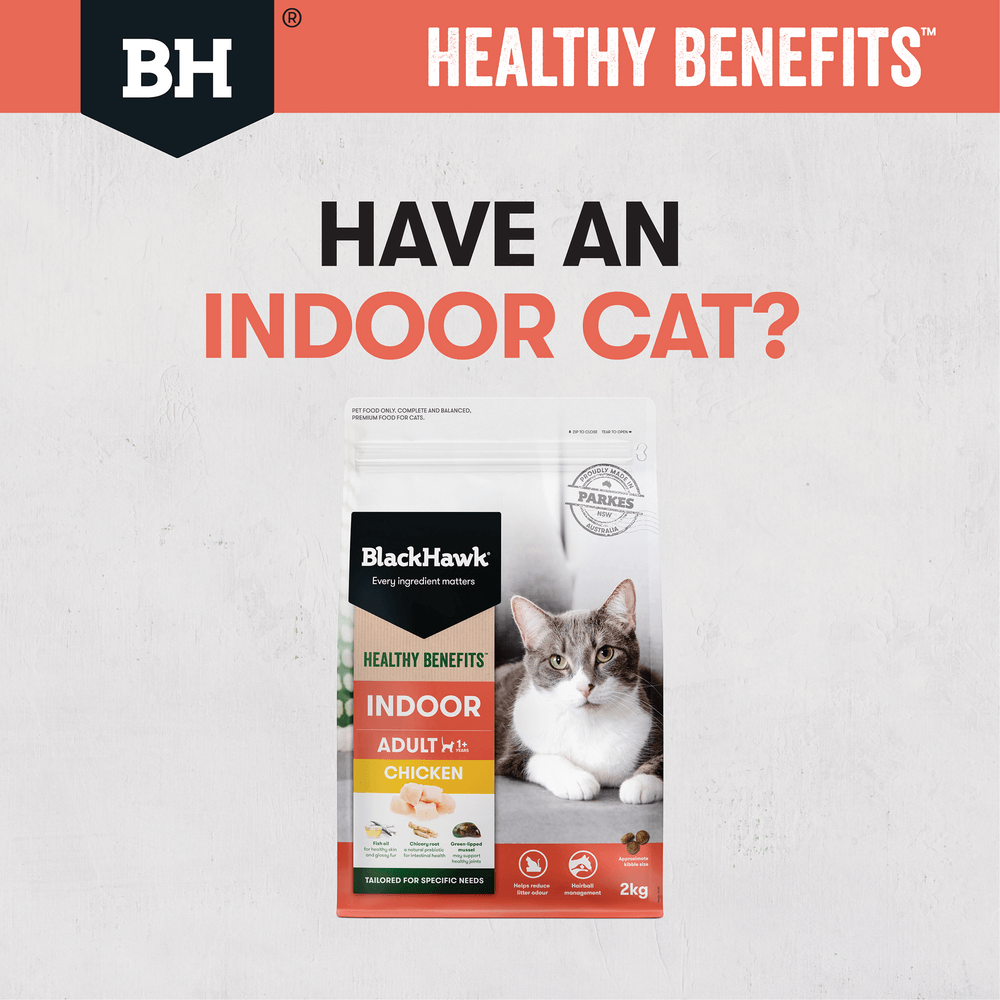 Black Hawk Healthy Benefits Dry Cat Food Adult Indoor Chicken