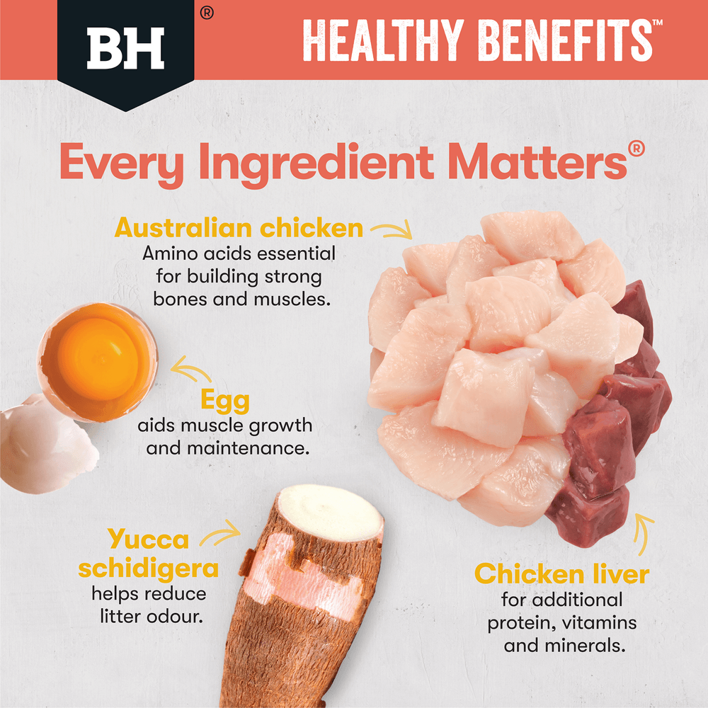 Black Hawk Healthy Benefits Dry Cat Food Adult Indoor Chicken