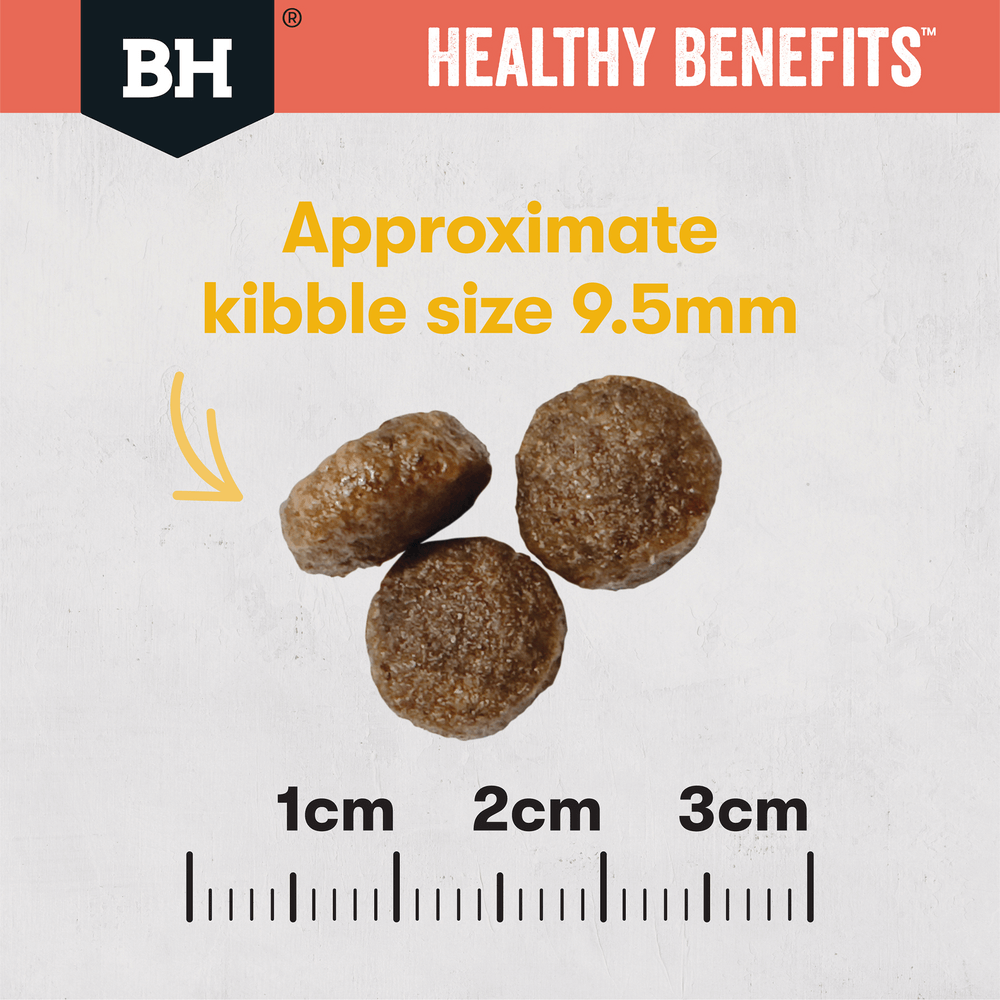 Black Hawk Healthy Benefits Dry Cat Food Adult Indoor Chicken