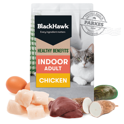 Black Hawk Healthy Benefits Dry Cat Food Adult Indoor Chicken