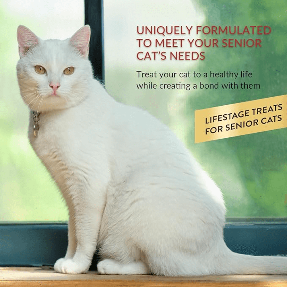 Inaba Churu For Senior Cat 10 Plus Tuna Recipe Cat Treats