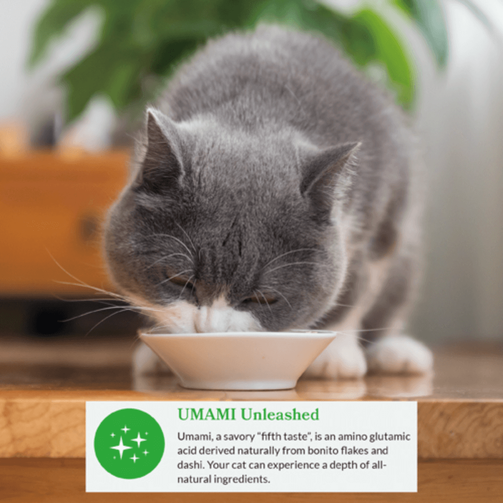 Inaba Dashi Delights Chicken With Tuna Recipe Cat Treats