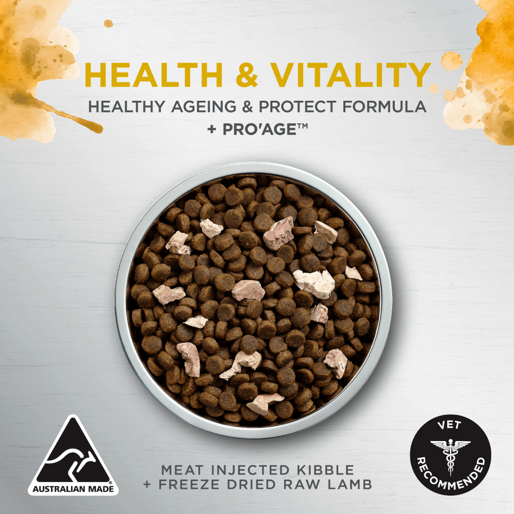 Ivory Coat Raw Health Adult Health And Vitality Dry Dog Food