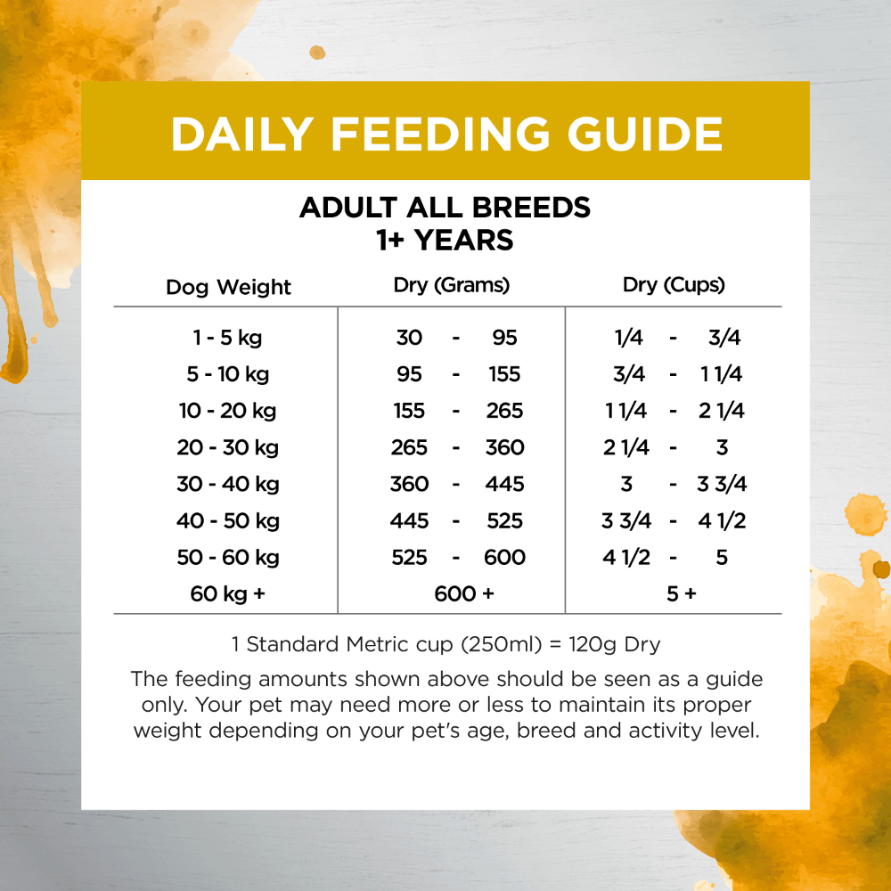 Ivory Coat Raw Health Adult Health And Vitality Dry Dog Food
