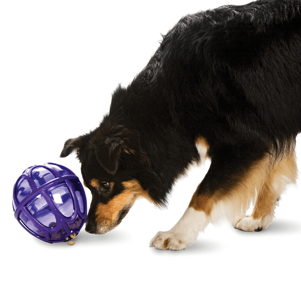 Petsafe Busy Buddy Kibble Nibble Dog Toy