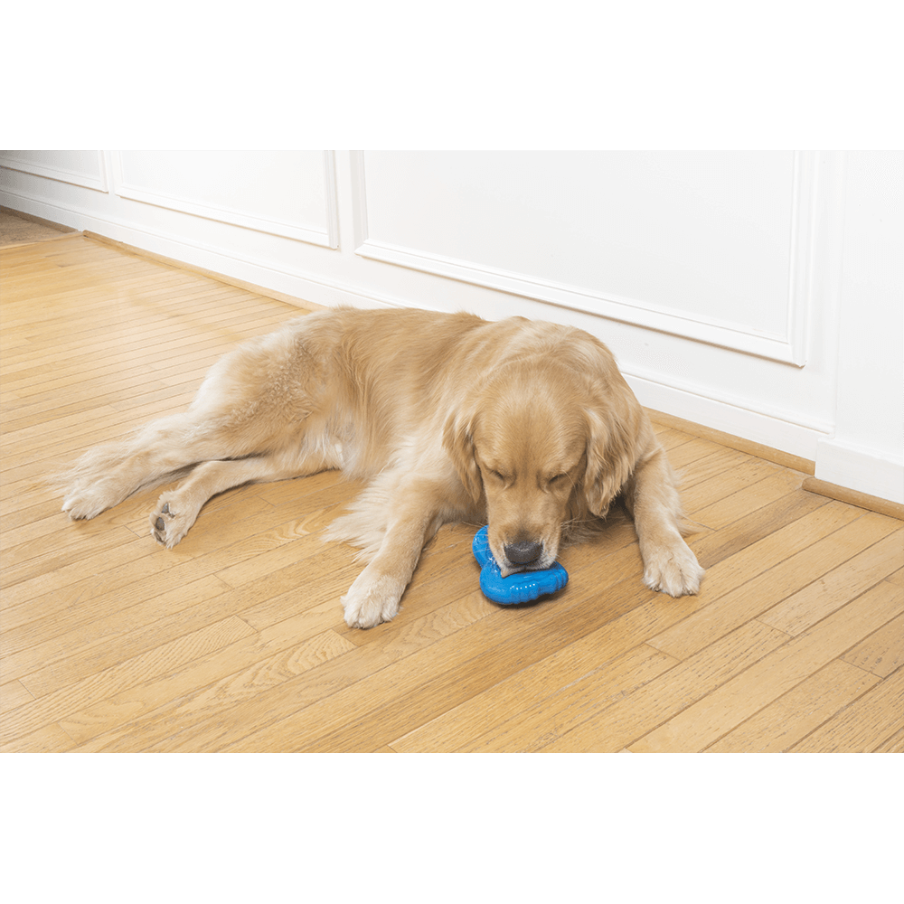Petsafe Chilly Penguin Freezer Dog Toy