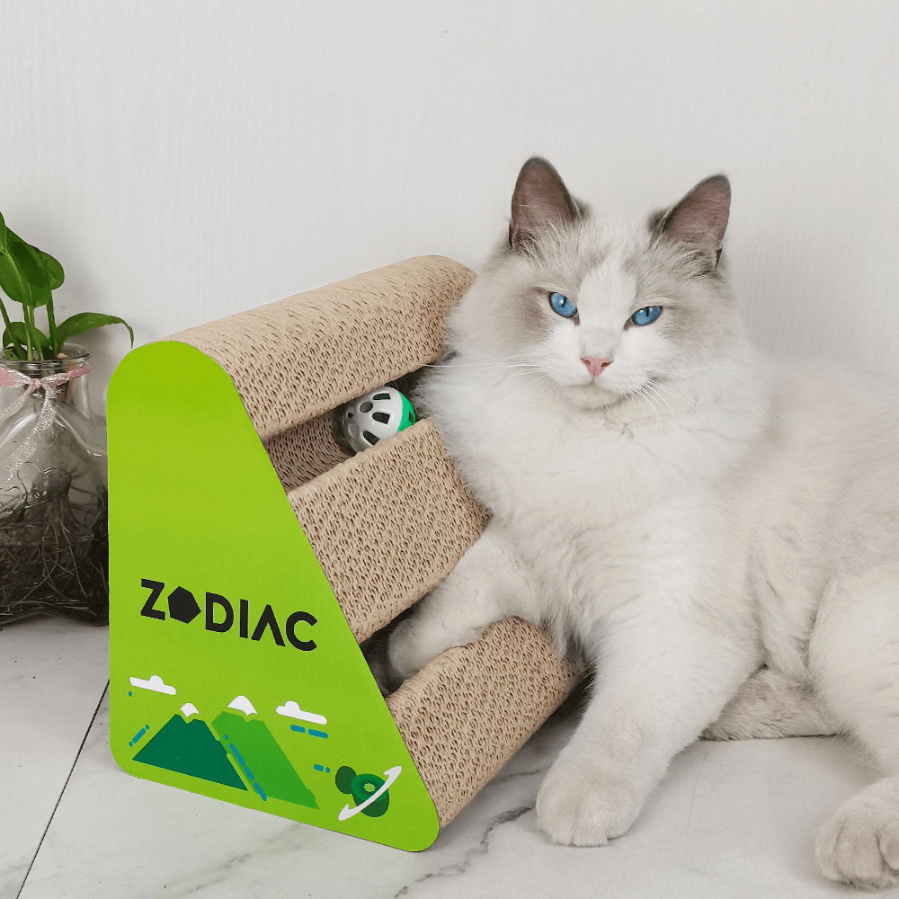 Zodiac Triangle Cat Ball Cat Scratcher Kiwi