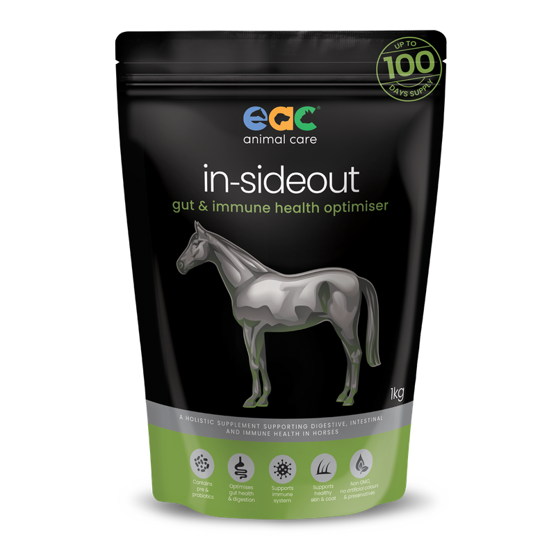 EAC IN-SIDEOUT HORSE 1KG