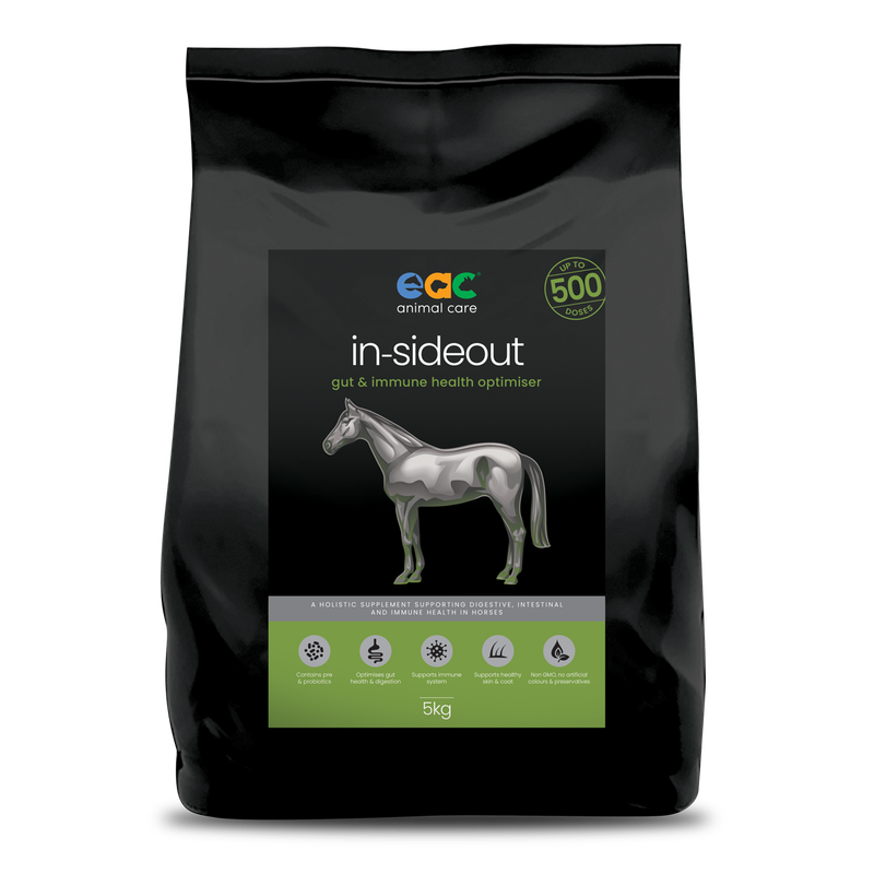 EAC IN-SIDEOUT HORSE 5KG