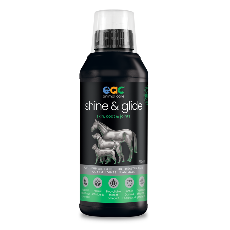 EAC SHINE & GLIDE - PURE HEMP OIL 250ML