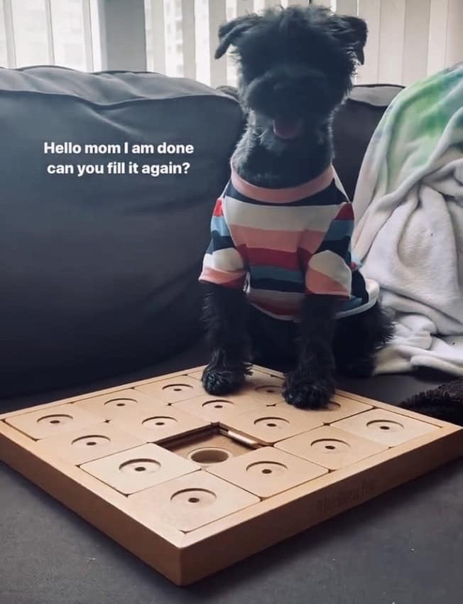 Dog Smart Wooden Interactive Dog Foraging Game Toy - DOG SUDOKU MEDIUM CLASSIC