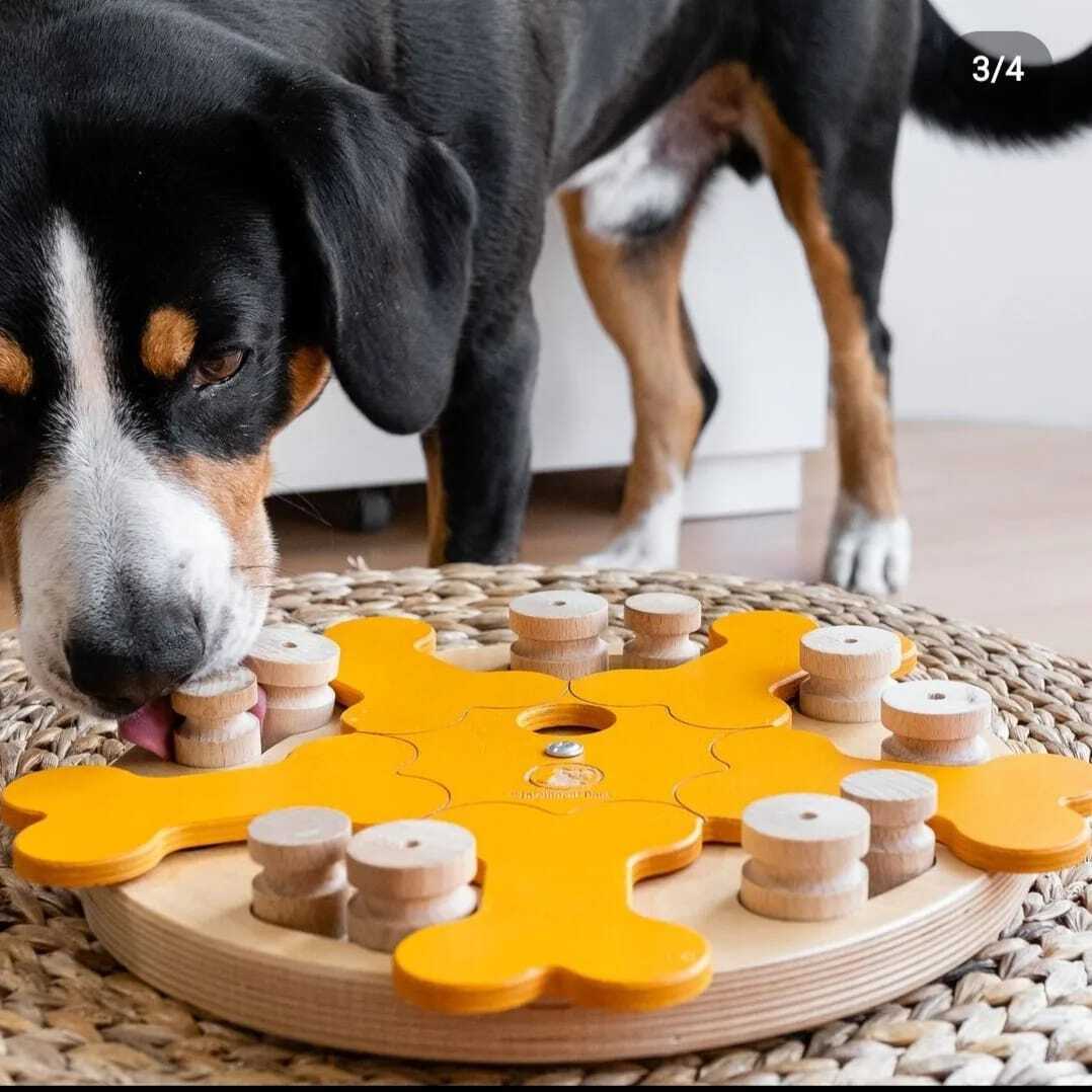 My Intelligent Pets Pet Dog Wooden Foraging Toy - Bone’s Carousel