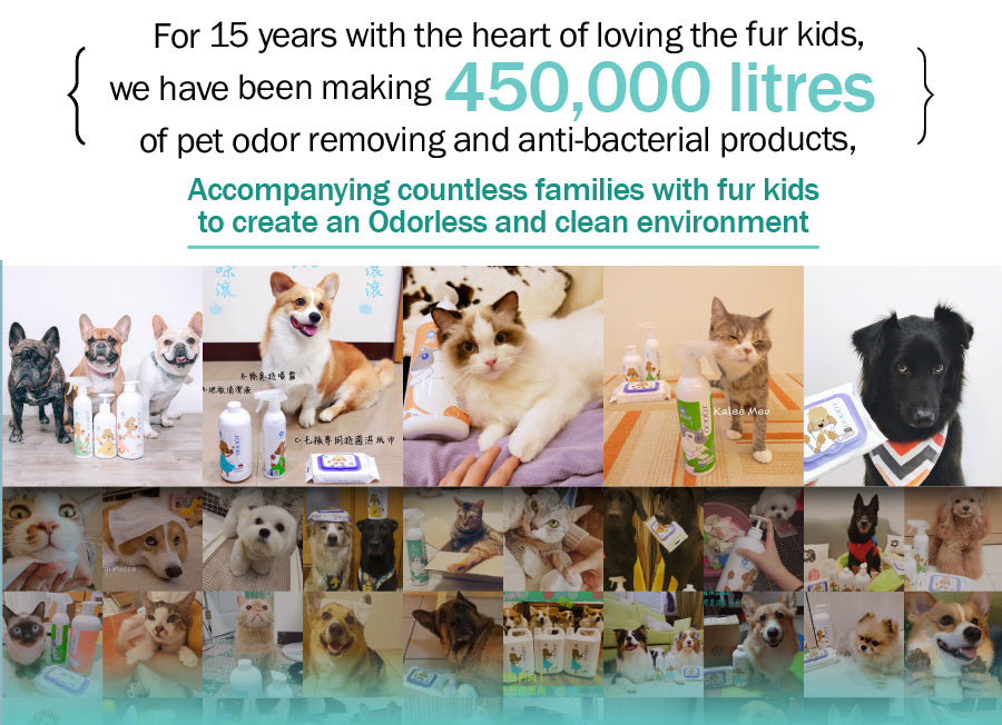 Pet Ear Cleaner Liquid for Dogs Cats Otic Smell Odor Remover Wash Ears Care ODOUT