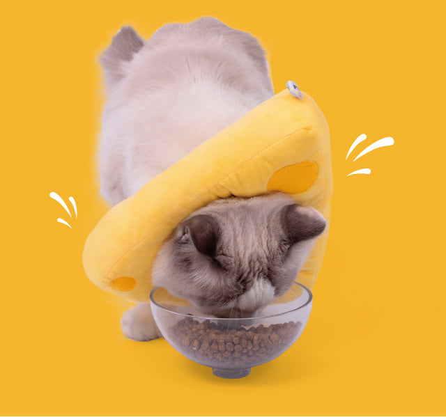 PurLab Pet Cat Cheese Elizabeth Circle Anti-Bite Neck Cone Recovery