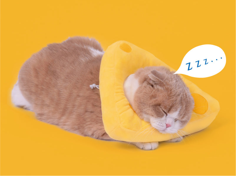 PurLab Pet Cat Cheese Elizabeth Circle Anti-Bite Neck Cone Recovery