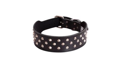 STAFFY COLLARS (RANGED)