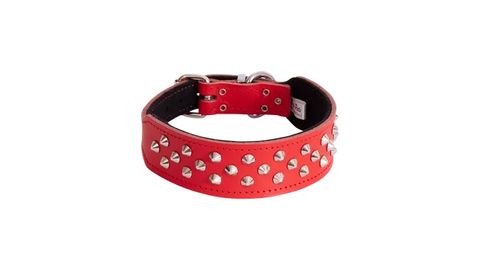 STAFFY COLLARS (RANGED)