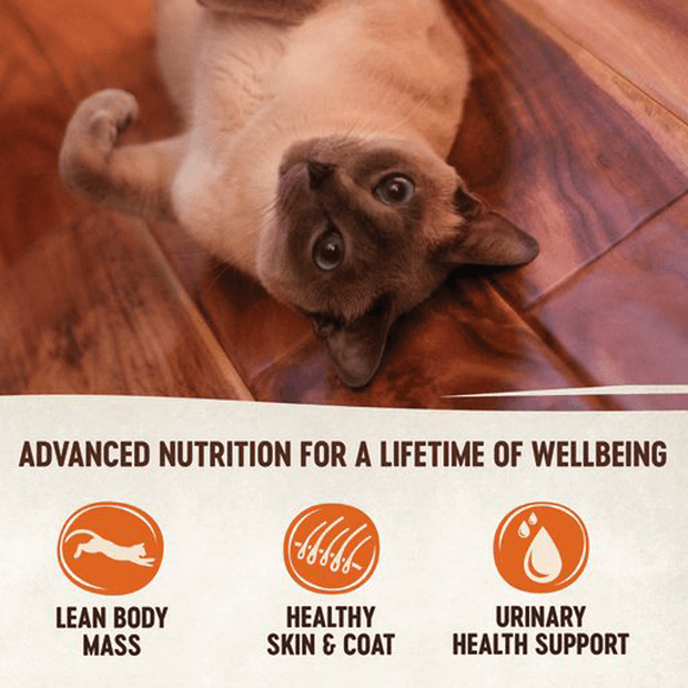 Wellness Signature Selects Poultry Variety Pack Wet Cat Food