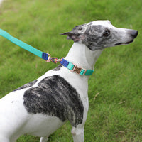 Dog Leads Bright Soft PVC Working Dog Farm Animal Yard Kennel Waterproof