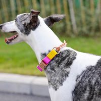 Dog Leads Bright Soft PVC Working Dog Farm Animal Yard Kennel Waterproof