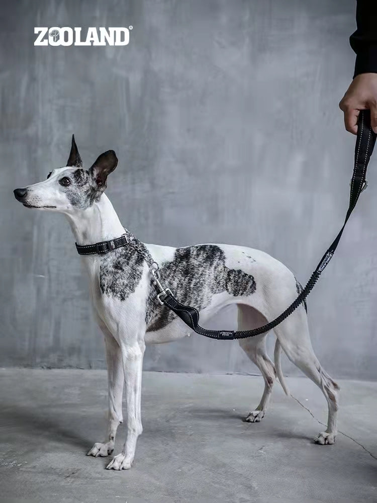 Pet Shock Absorbing Lead Leash Nylon Traction Rope for Mediem Large dogs Zooland