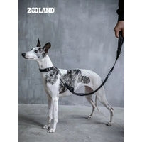 Pet Shock Absorbing Lead Leash Nylon Traction Rope for Mediem Large dogs Zooland