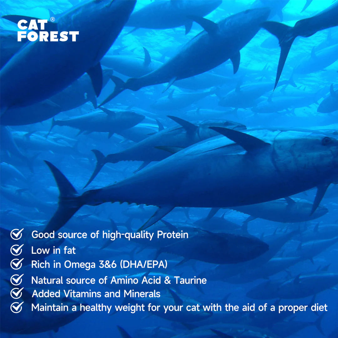 CAT FOREST Premium Tuna White Meat with Salmon in Jelly Canned Cat Food 24x85g