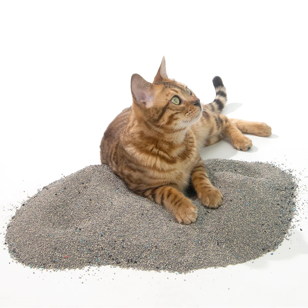 ZODIAC Natural Way Superfine Bentonite With Activated Charcoal Cat Litter 4.5Kg