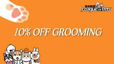 dog grooming service