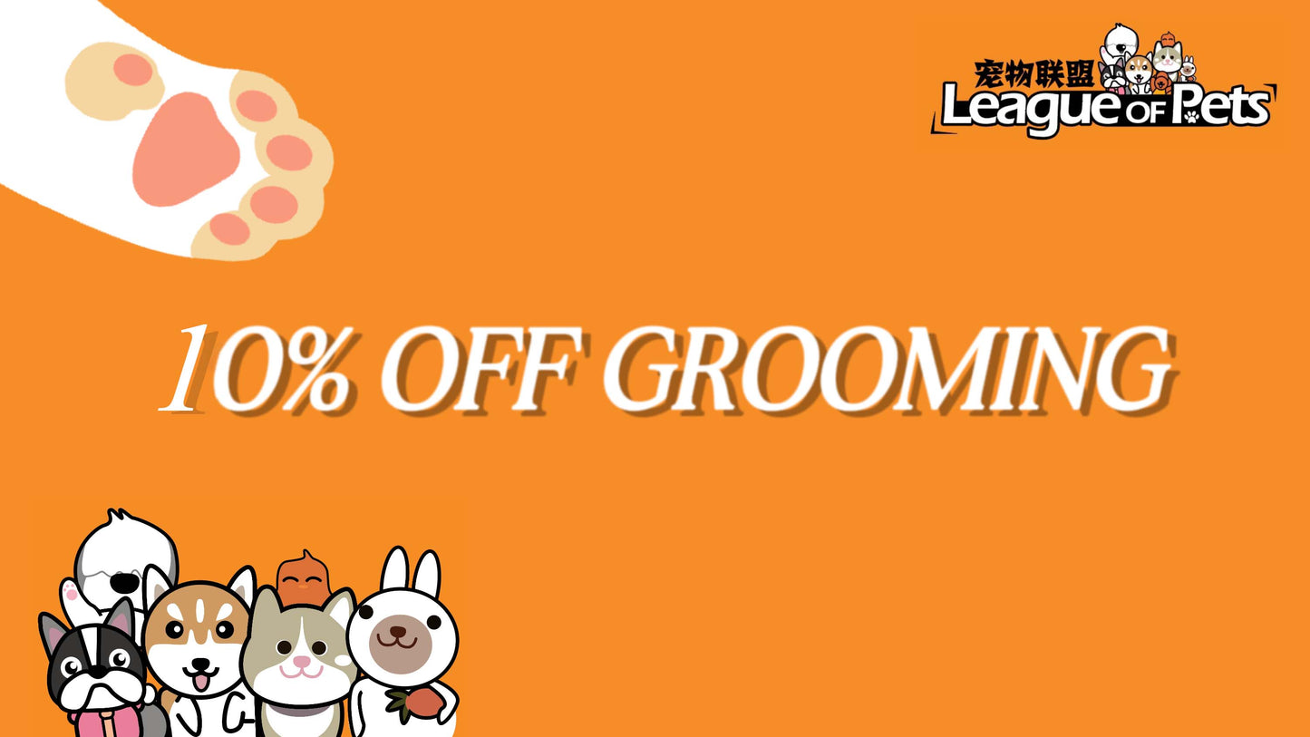 10% cat grooming service