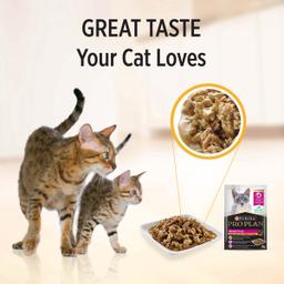 Pro Plan Sensitive Adult Chicken Gravy Pouch Wet Cat Food 85G
