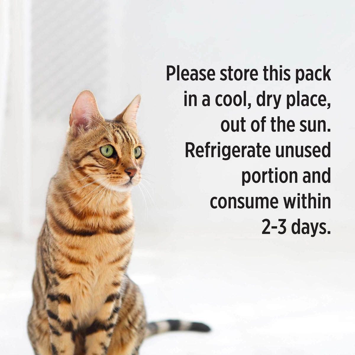 Pro Plan Kitten Salmon Gravy Pouch Wet Cat Food 85g