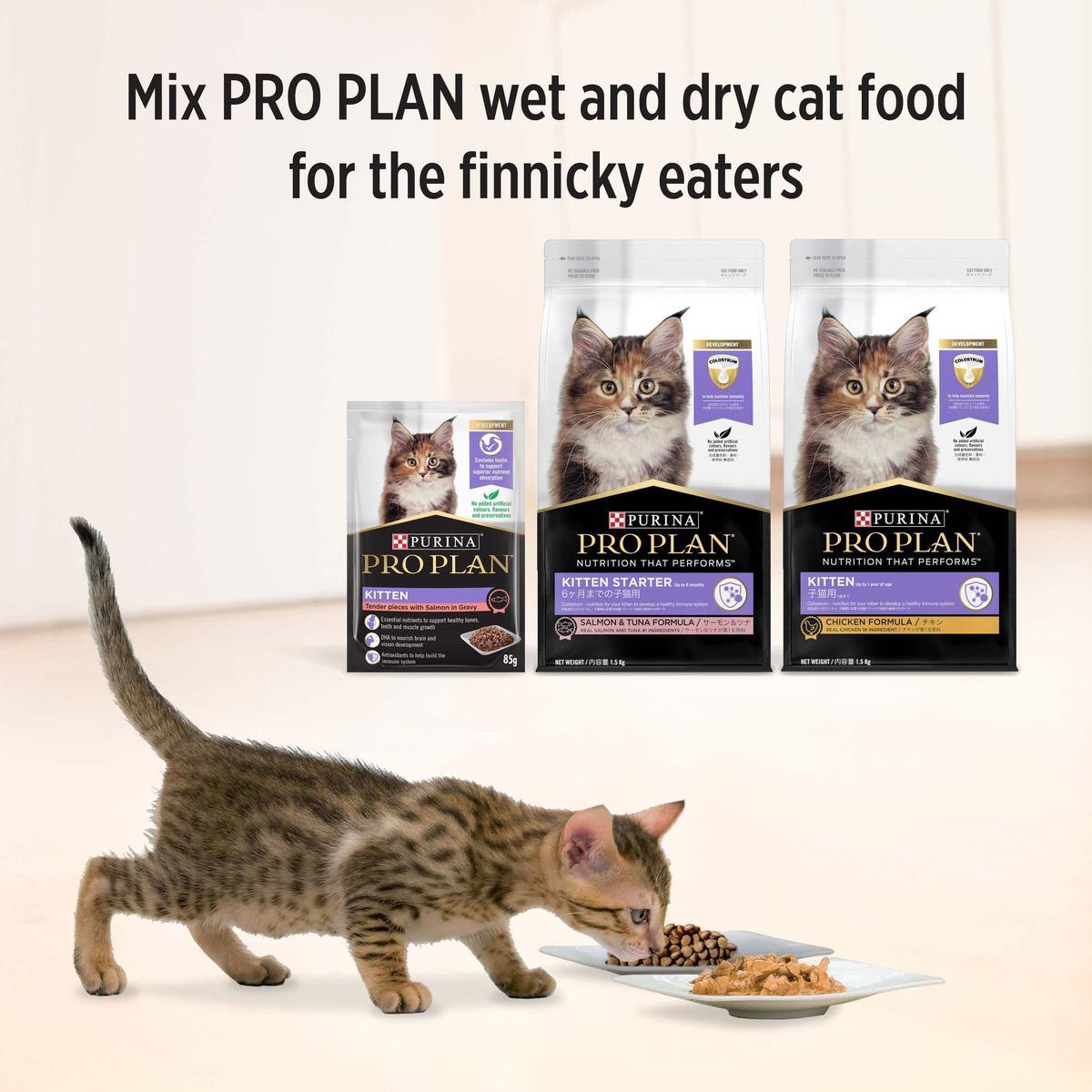 Pro Plan Kitten Salmon Gravy Pouch Wet Cat Food 85g