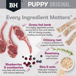 Dry Dog Food Puppy Medium Breed Original Lamb And Rice
