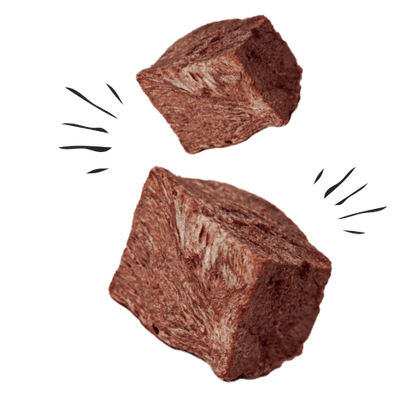 Beasty Wagyu Bites Cuts 85g FREEZE DRIED 100% GRAS