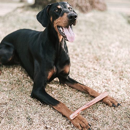 WAG Large Bully Sticks Dog Treats 4 Pack