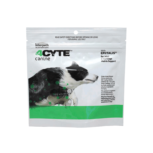 Beautiful view of Canine Joint Support And Relief
