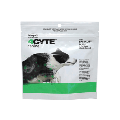 Canine Joint Support Supplement