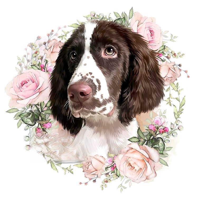 Custom 2D Pet Portraits | Digital Photo